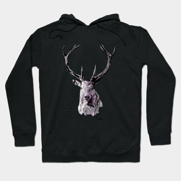 Lord Of The North - Stag - Ink and Watercolour Hoodie by Sophie Elaina